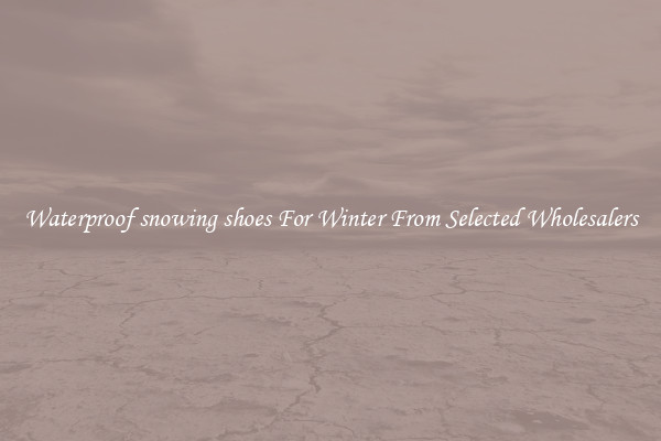 Waterproof snowing shoes For Winter From Selected Wholesalers