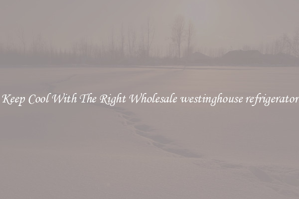 Keep Cool With The Right Wholesale westinghouse refrigerator