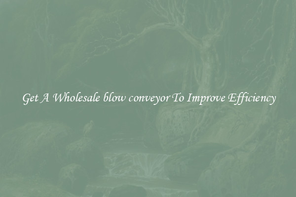 Get A Wholesale blow conveyor To Improve Efficiency