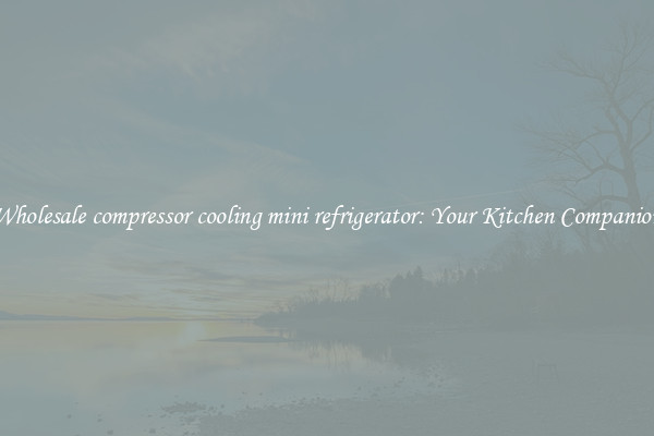 Wholesale compressor cooling mini refrigerator: Your Kitchen Companion