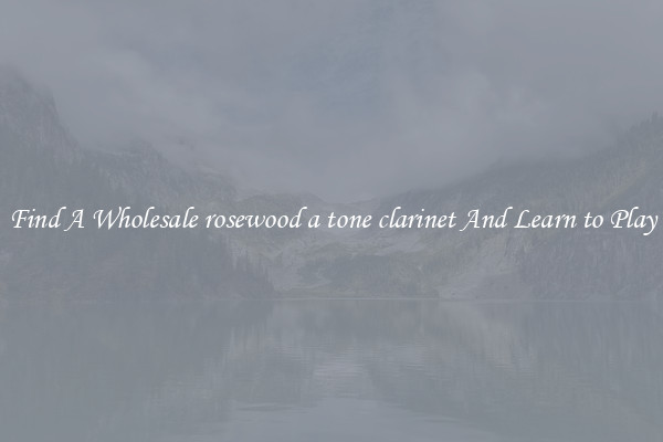Find A Wholesale rosewood a tone clarinet And Learn to Play