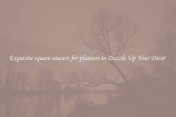 Exquisite square saucers for planters to Dazzle Up Your Décor 