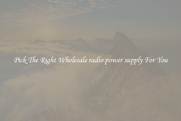 Pick The Right Wholesale radio power supply For You