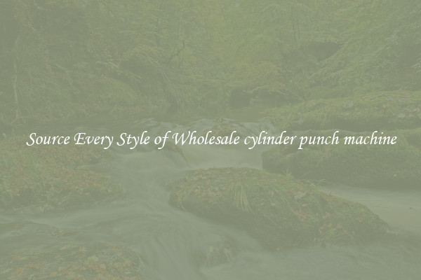 Source Every Style of Wholesale cylinder punch machine