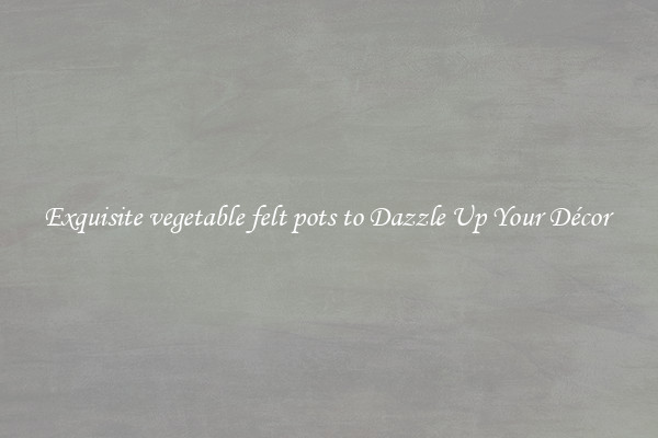Exquisite vegetable felt pots to Dazzle Up Your Décor 