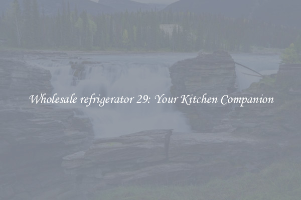 Wholesale refrigerator 29: Your Kitchen Companion