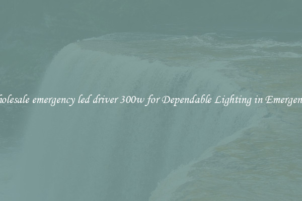 Wholesale emergency led driver 300w for Dependable Lighting in Emergencies