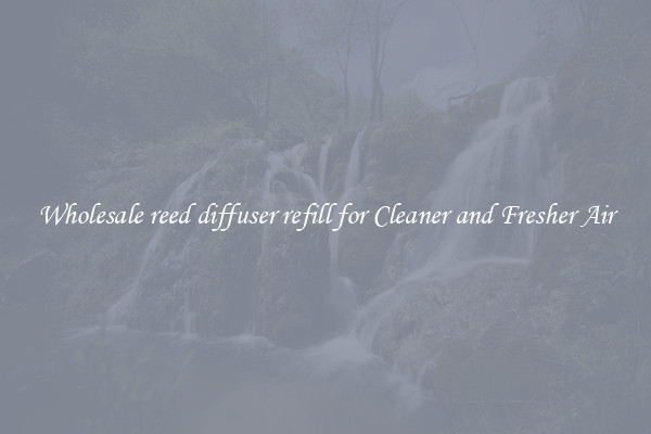 Wholesale reed diffuser refill for Cleaner and Fresher Air