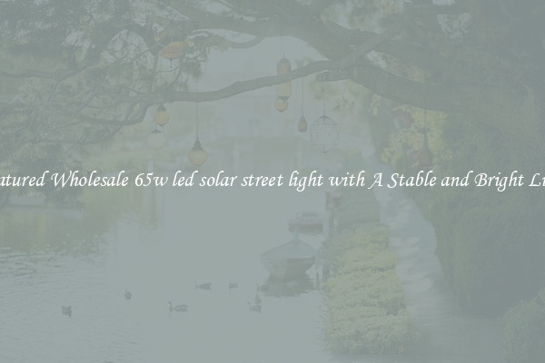 Featured Wholesale 65w led solar street light with A Stable and Bright Light