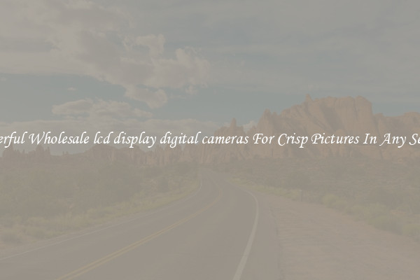 Powerful Wholesale lcd display digital cameras For Crisp Pictures In Any Setting