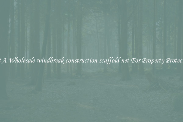 Get A Wholesale windbreak construction scaffold net For Property Protection