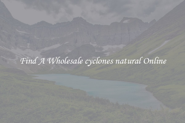 Find A Wholesale cyclones natural Online