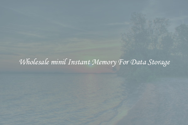 Wholesale minil Instant Memory For Data Storage