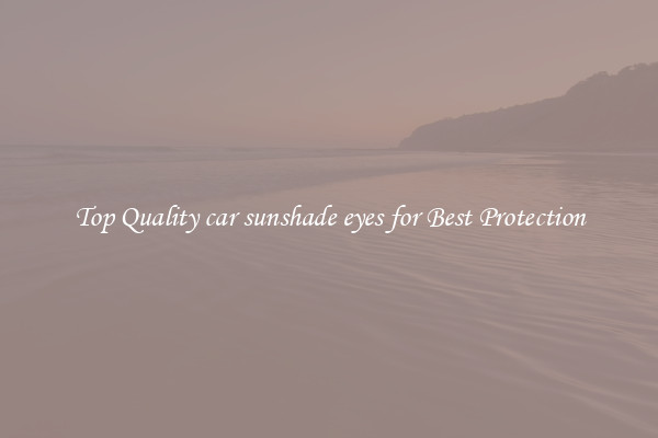 Top Quality car sunshade eyes for Best Protection