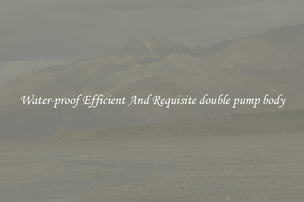 Water-proof Efficient And Requisite double pump body