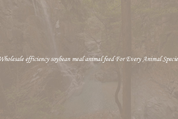 Wholesale efficiency soybean meal animal feed For Every Animal Species