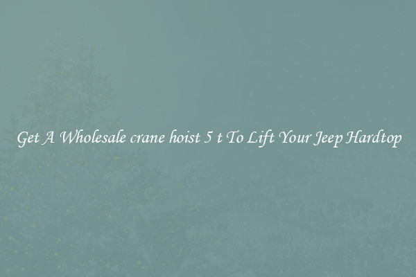 Get A Wholesale crane hoist 5 t To Lift Your Jeep Hardtop
